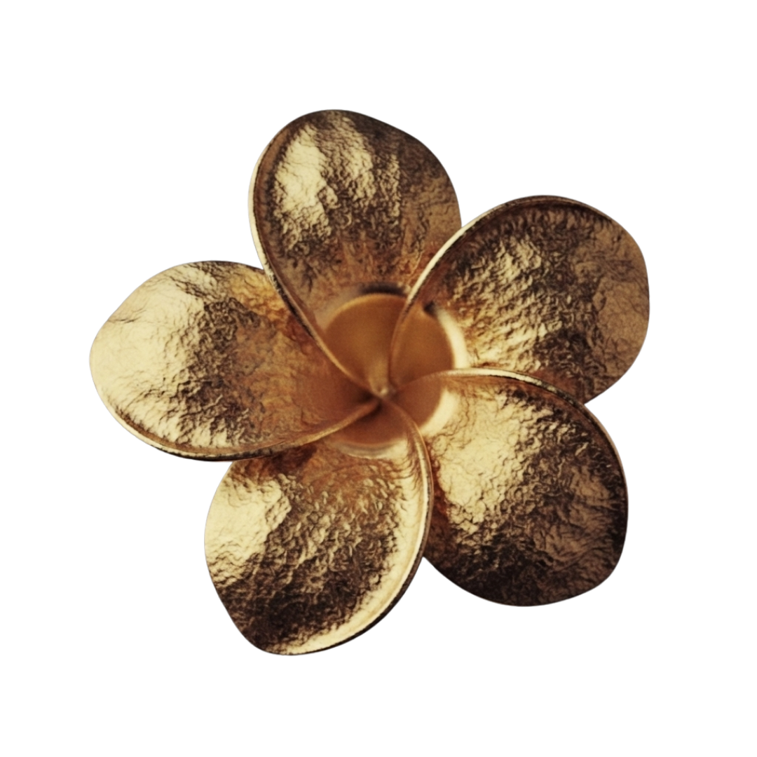 Frangipani