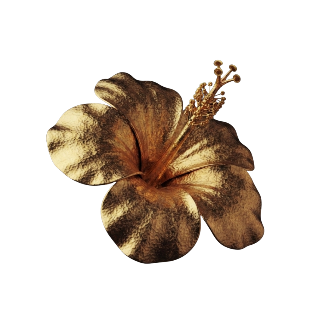 Hibiskus